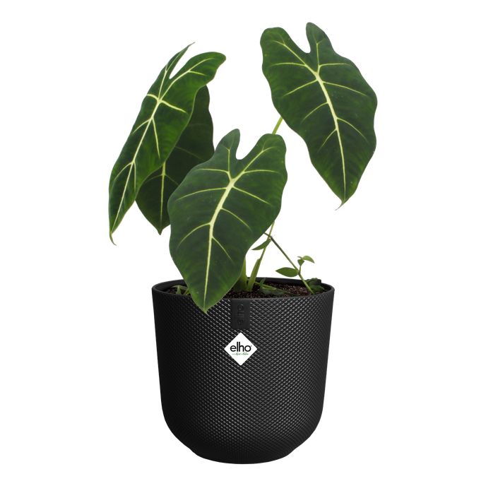 jazz rond 19cm living noir